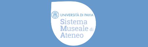 Sistema Museale d'Ateneo logo