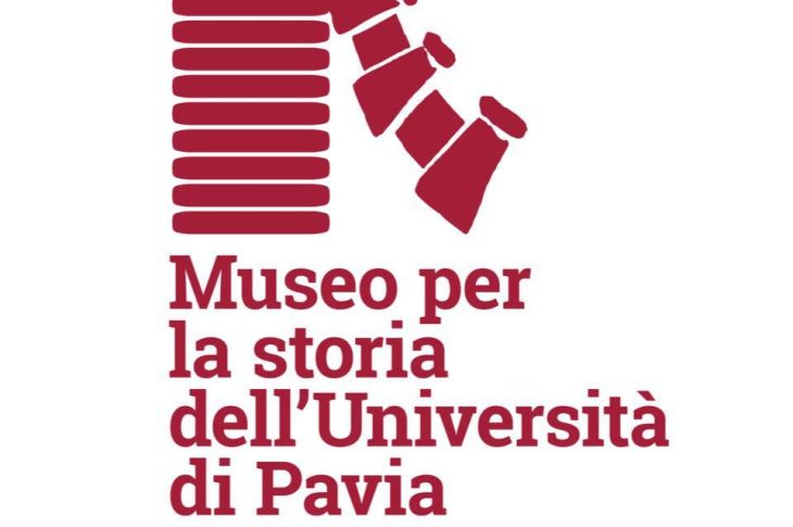 Logo MSU