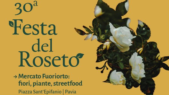 festaRoseto-banner web EXTRA_1080 x 566 festaRoseto-banner web EXTRA_1080 x 566