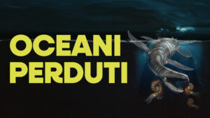 BANNER-ADMAIORA-ns-300×169