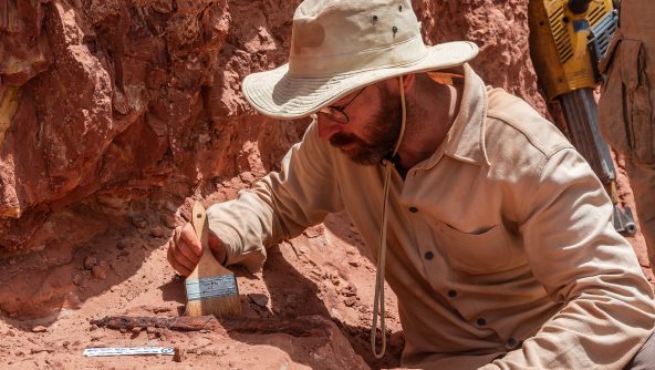 Copyright -Gabriele Bindellini