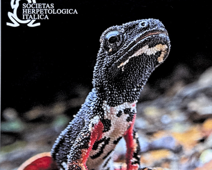 f567032b-e37d-41bc-9daf-075debfe3606