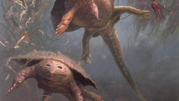 figura-5-macroplaco-troco-894×1024